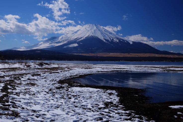 16707567_1307116489326368_606234738351275069_o