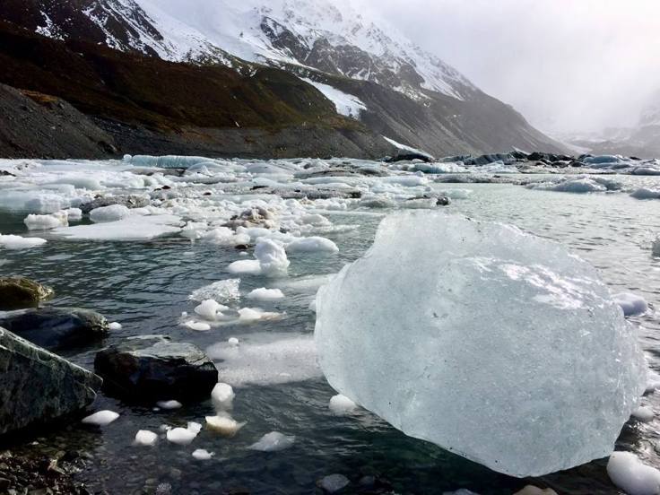 21231037_10159439363695637_1184151448783911006_n