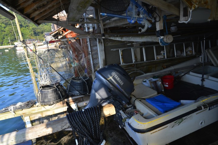 2017☆秋_171119_0202