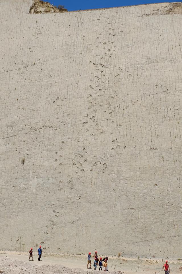 24993394_1619485231422824_6853692136050705242_n