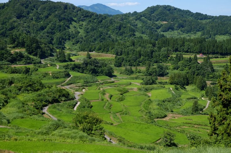 38806632_2317663361585050_5233540825543081984_o