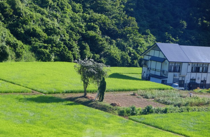 人 自然に再び入2