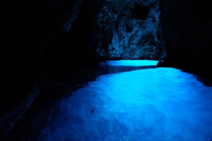 44085532_2445054382179280_7527493647294529536_n